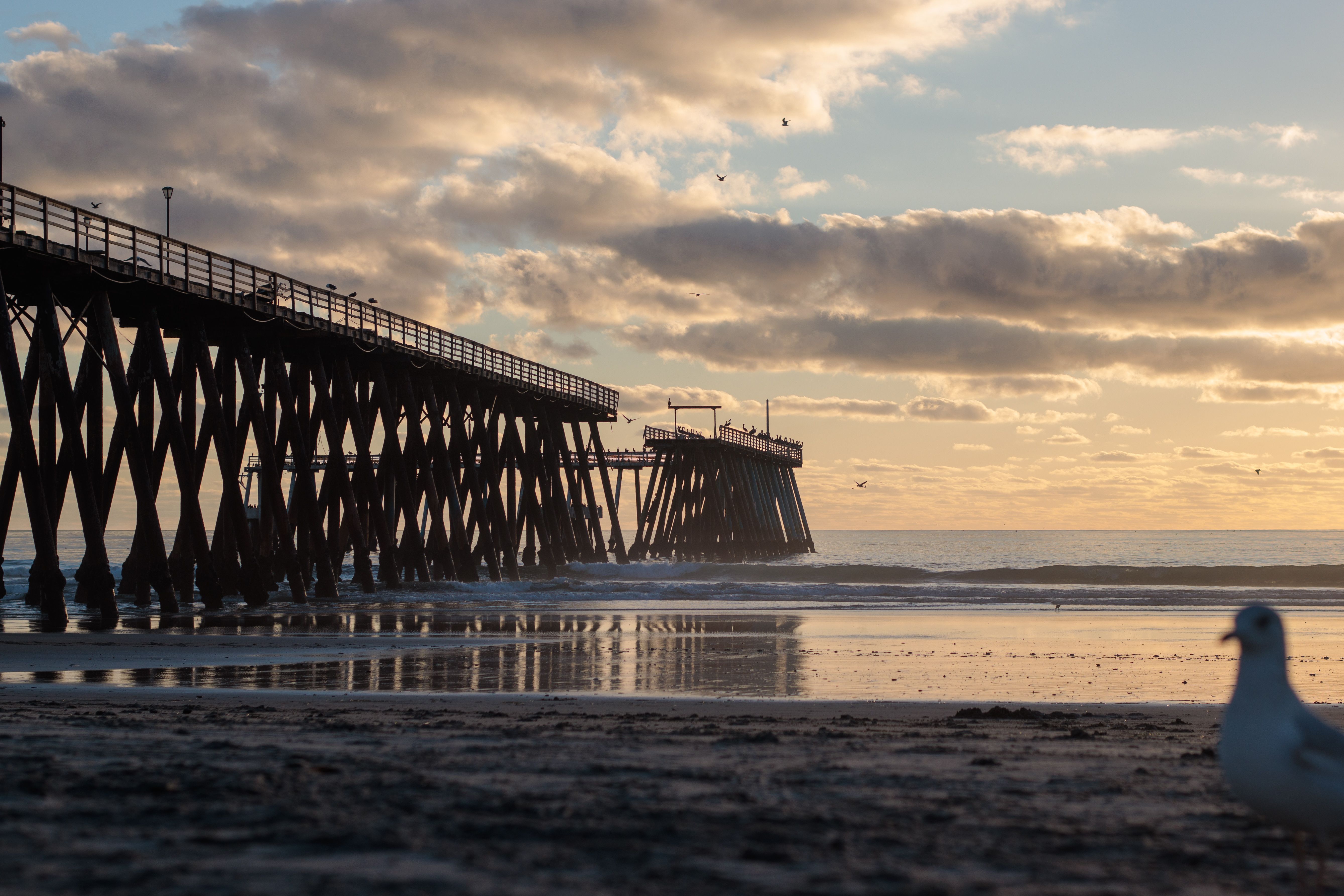 Muelle de Rosarito al atardecer